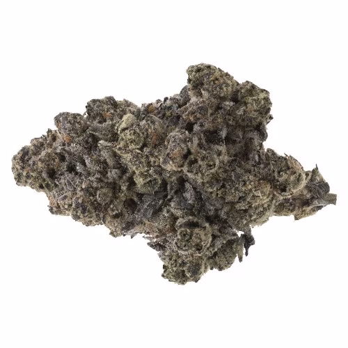 Carmel - Candy Gas Face