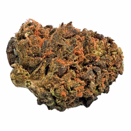 Thrifty (Big Steal) - BC Organic Sungrown Mango Sapphire
