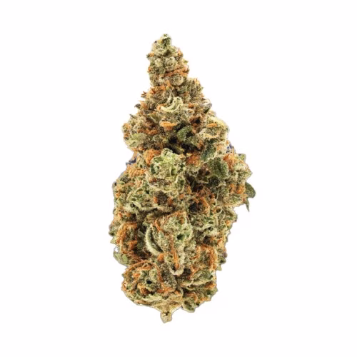 Simply Bare - BC Organic Fire OG *Limited Edition*