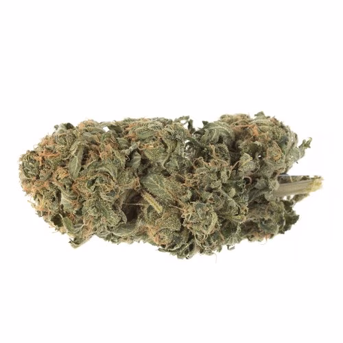 Station House - OG Kush