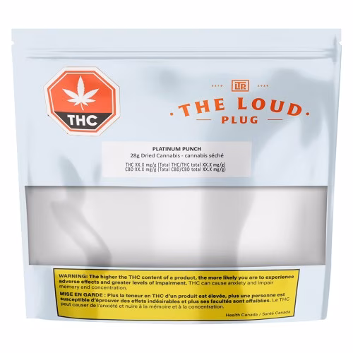 The Loud Plug - Platinum Punch