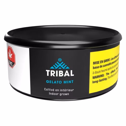 Tribal - Gelato Mint