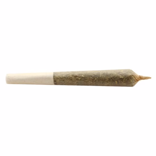 Big Buddy Sativa