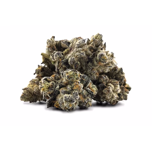 BC Black - Blueberry Frost