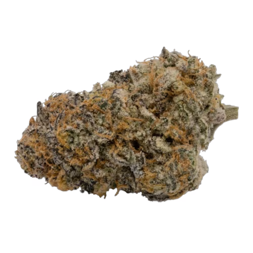Antidote - Purple Platinum