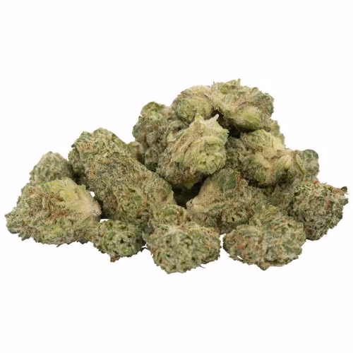 Wagners - The Silverback #4 (GG#4)