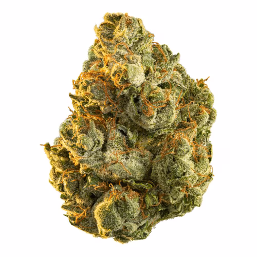 Edison - Hollywood OG