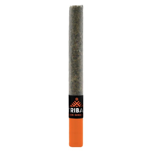 Tribal - Neon Sunshine Ceramic Tip Pre-Roll