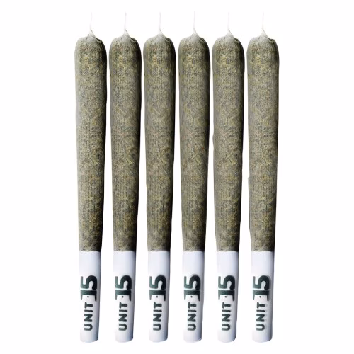 Unit 15 - The 6ix Craft Pack Pre-Roll