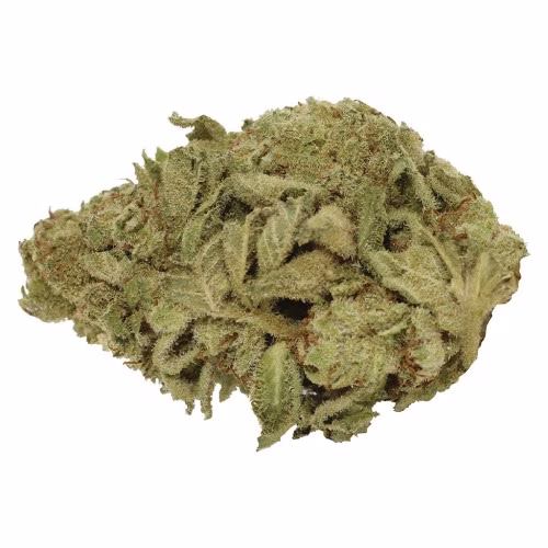 Pure Laine - Big Pleasures (Sativa // Indica) *Limited Edition*