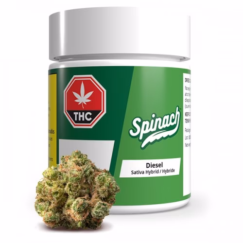 Spinach - Diesel