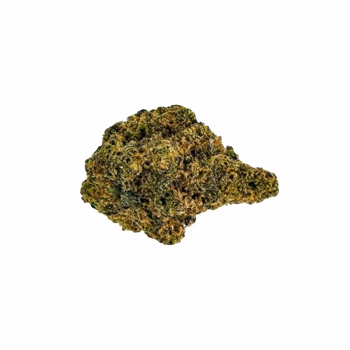 Skosha - Purple Caviar