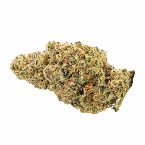 The Loud Plug - Krypto Kush