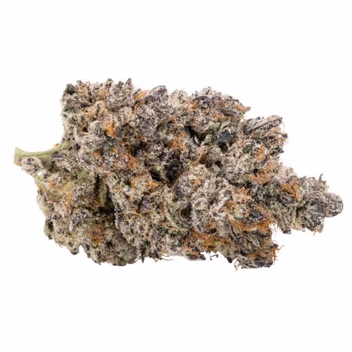 Kootenay Quantum - KQ Dark Matter LTO