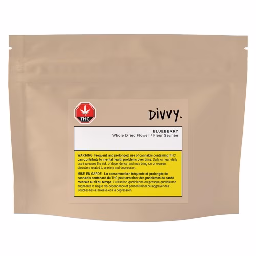 Divvy - Blueberry