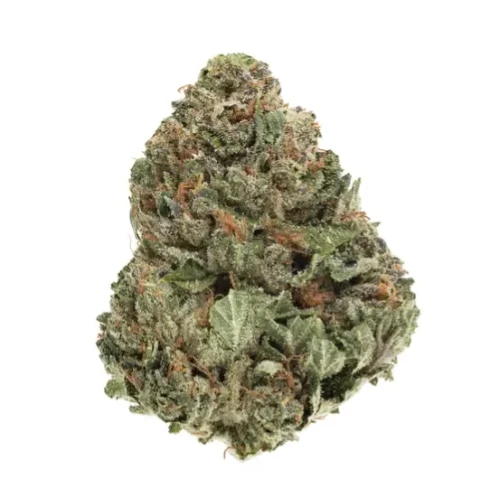 Organic Island Rockstar