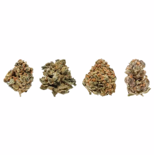 Potluck - Fruit Collection Ounce