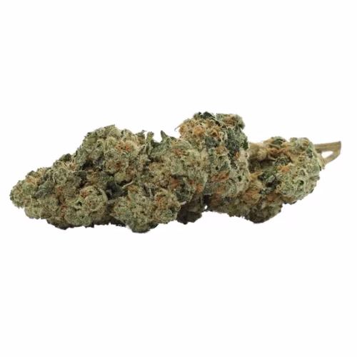 Ouest - Punchee Tarte (Legendary Larry OG)