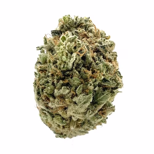 LowKey by MTL Cannabis - Haze