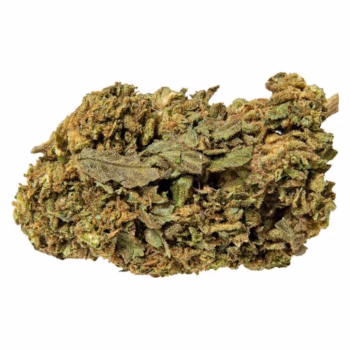 Abide - Pink Lemonade