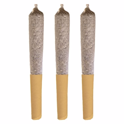 Potluck - Banana Cream Pre-Roll