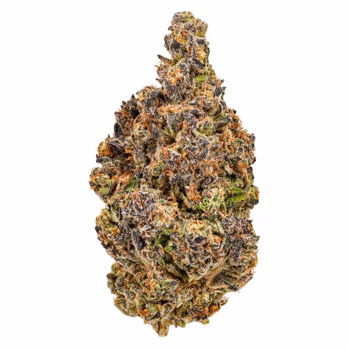 Cheers Cannabis - Alien Kush