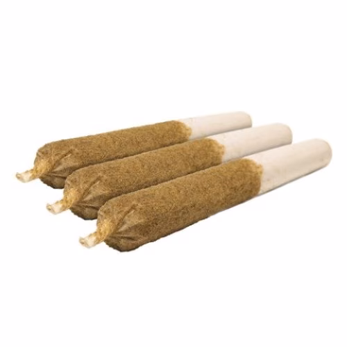 General Admission - Blue Rocket Distillate Infused Pre-Rolls