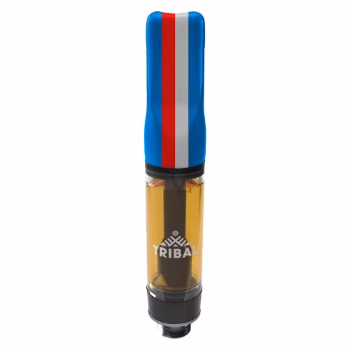 GT Live Resin 510 Vape (Gran Turismo)