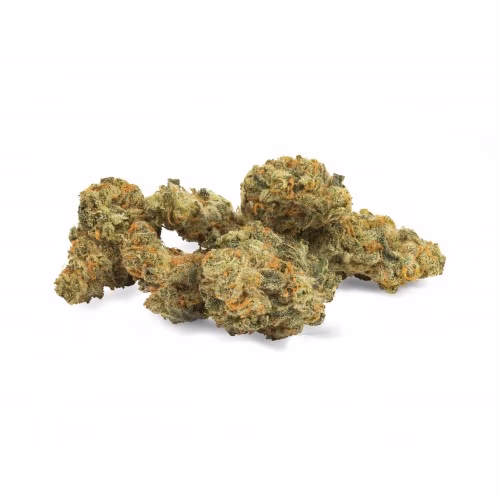 Edison - GRAPEFRUIT GG4 (The General)