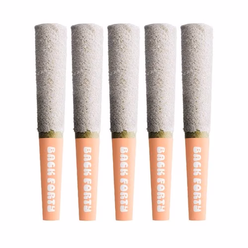 Back Forty - Peach Lemonade Frosted Icicles Infused Pre-Rolls