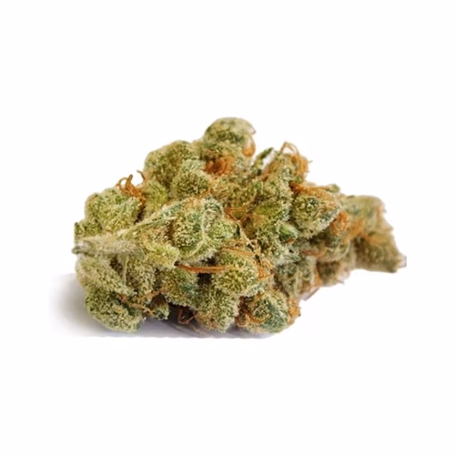 Top Up - Clementine