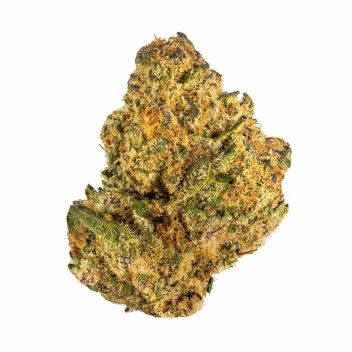 Truro Cannabis - Pancake