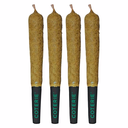 Coterie - Double-Infused Fruity Pebbles Pre-Roll