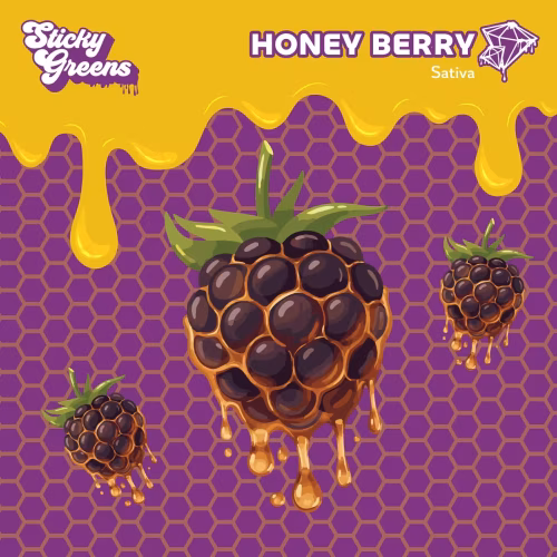 HONEY BERRY INFUSED SATIVA BLUNT PR1X1G
