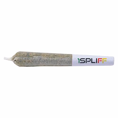 The Titan Mega Pack Pre-Roll