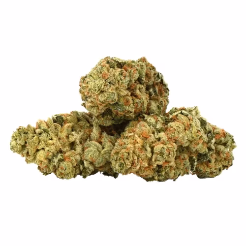 BZAM - Golden Papaya