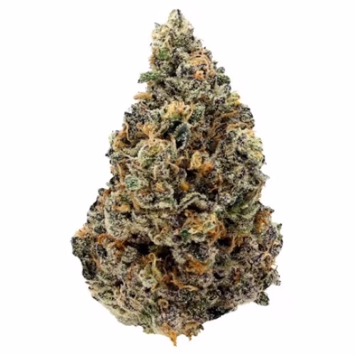 GreenSeal - Purple Crush