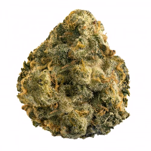 Edison - GRAPEFRUIT GG4 (The General)