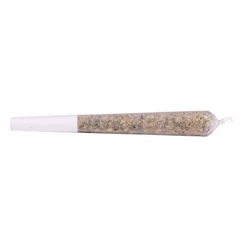 Great Gardener Farms - Barbara Bud Live Rosin Infused Pre-Roll