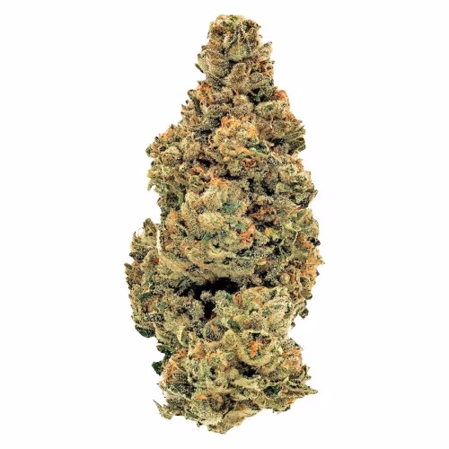 1964 - GG#4 (Gorilla Glue #4)