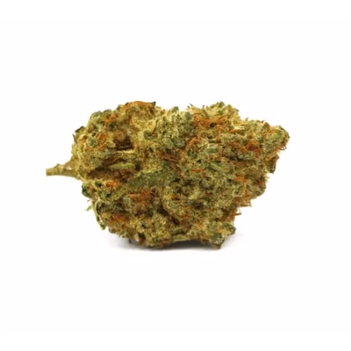 Wildlife Cannabis Co. - Sun County Kush