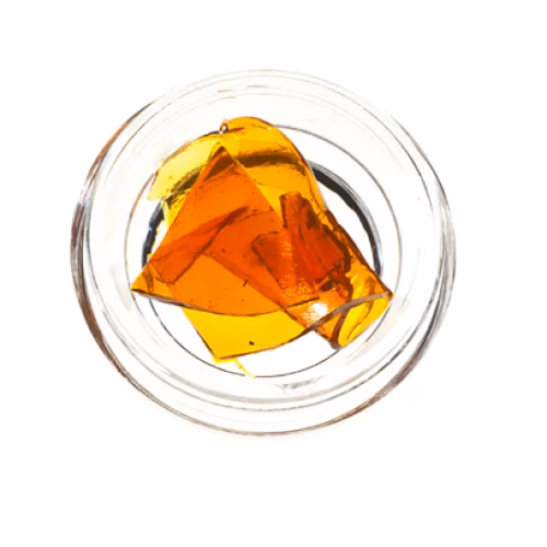 The Loud Plug - Shatter