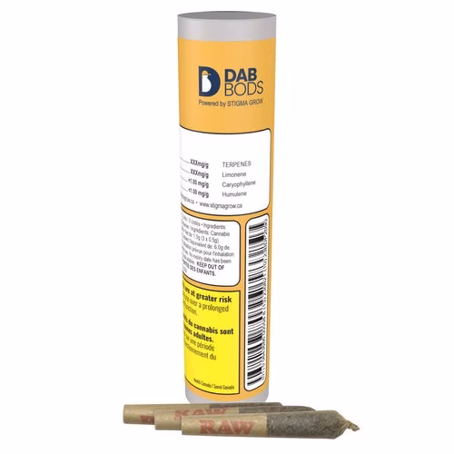 Dab Bods - Baja Banana (Banana Runtz) Infused Disti Joints