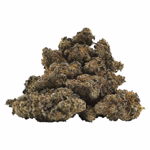 BC OZ - 9 lb Hammer