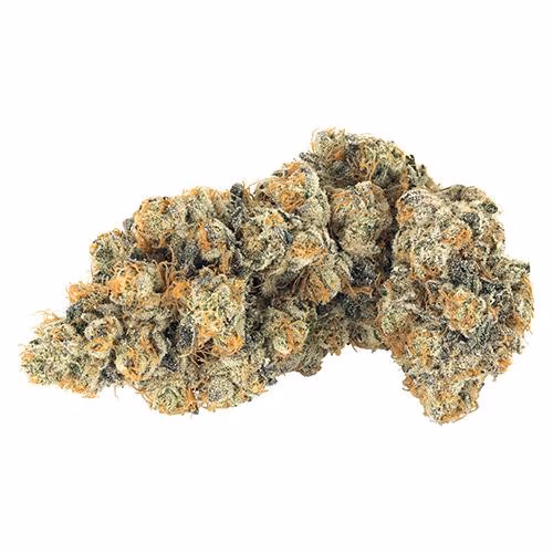 Broken Coast - Frost Monster