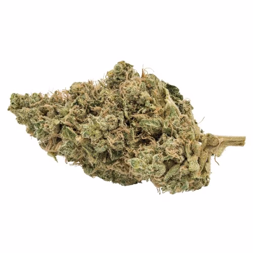 Stinky Greens Organic - Donny Burger