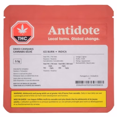 Koots Canna - Ice Burn