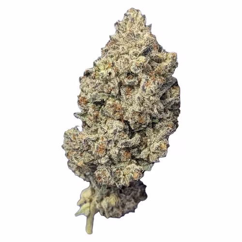 Papa's Herb - Jealousy