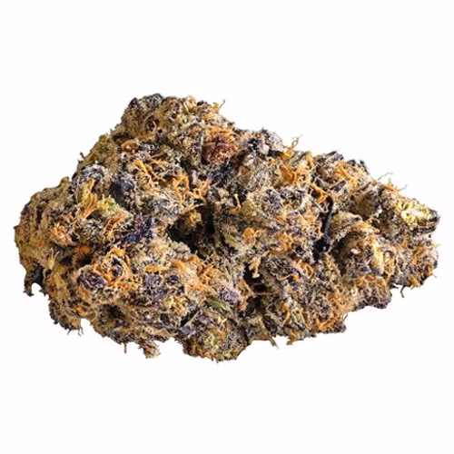 3rd Coast Genetics - Gold Cash Gold