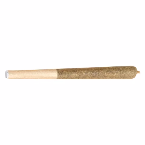 Banana Daddy
